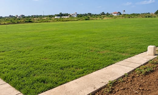 Terrain de football en gazon achevé